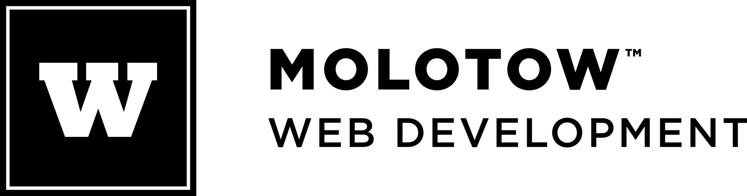 Logo MOLOTOW Web Development schwarz