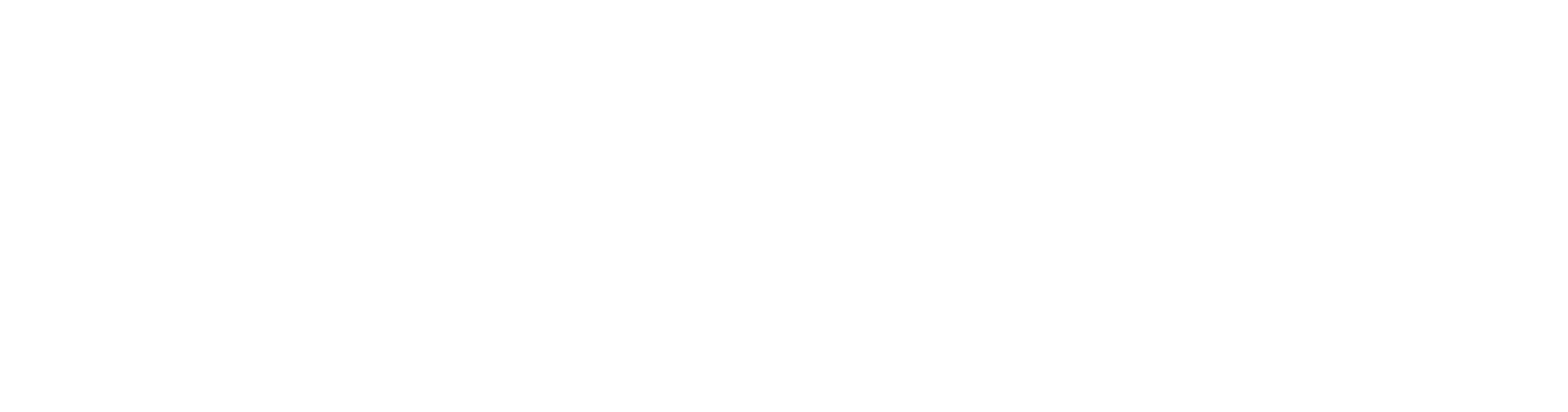 Logo MOLOTOW Web Development weiß